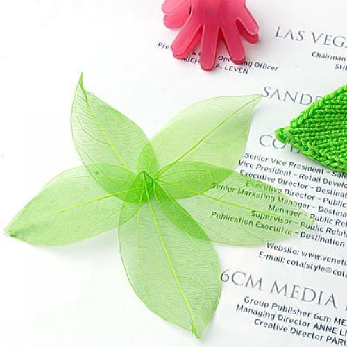 Natural Catbrier Skeleton Leav - Embellish Craft recensie en prijs