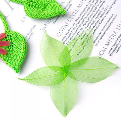 Natural Catbrier Skeleton Leav - Embellish Craft recensie en prijs