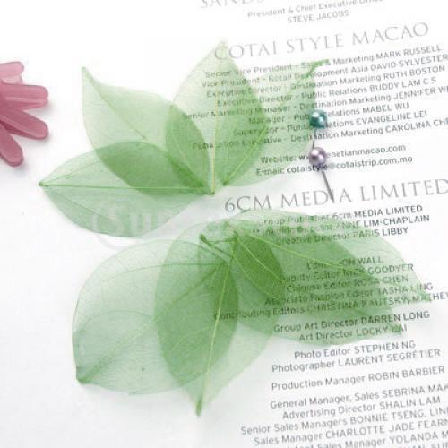 Natural Catbrier Skeleton Leav - Embellish Craft recensie en prijs