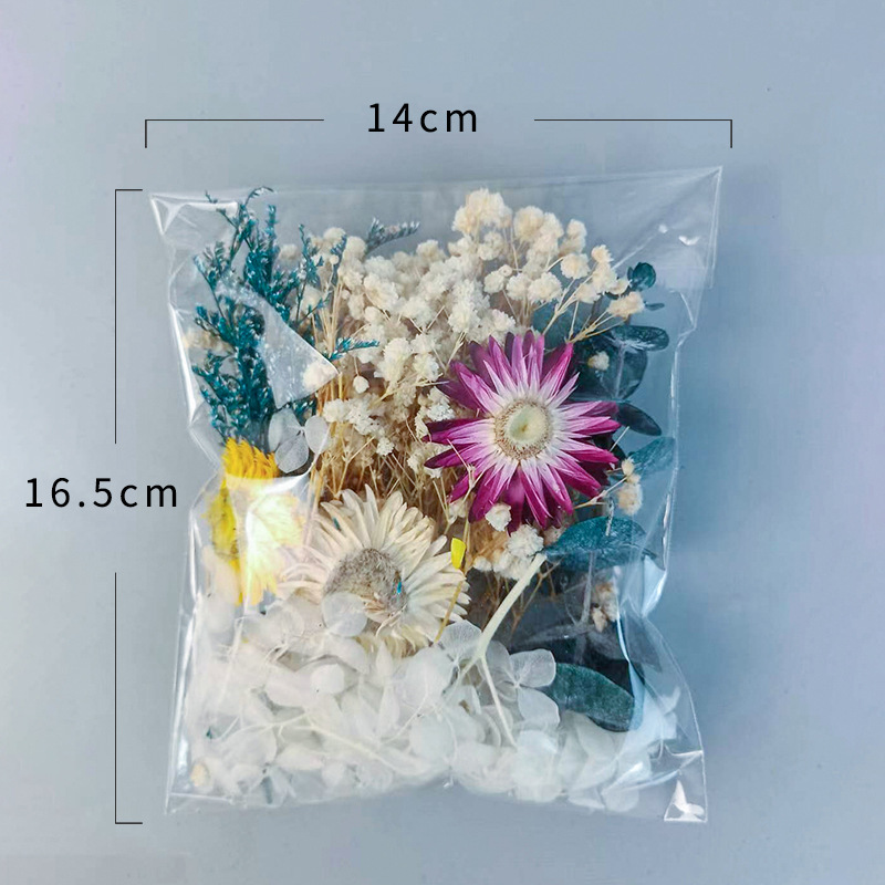 1pack Multifarious Dried Flowe - Embellish Craft recensie en prijs