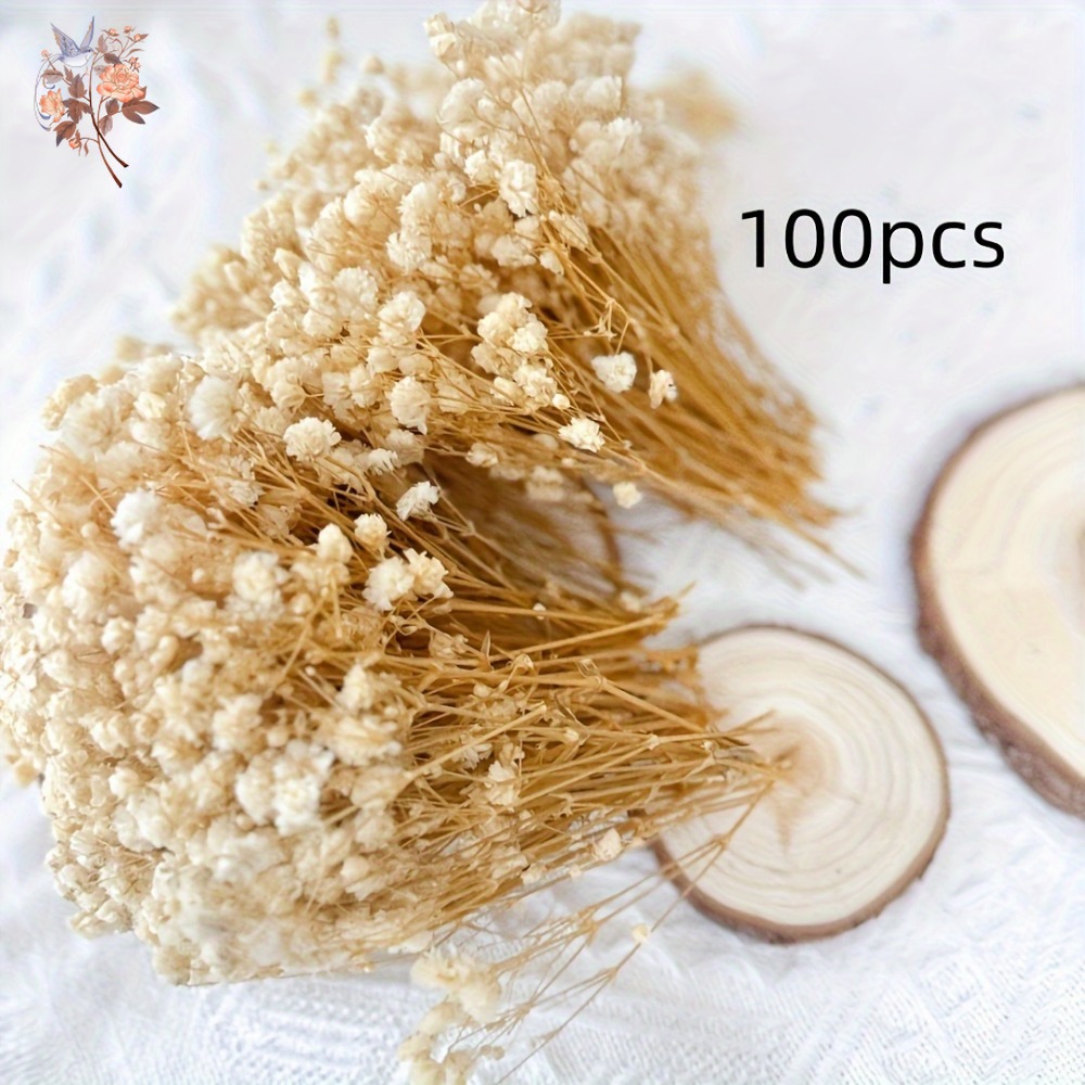 100pcs Mini Dried Baby's Breat - Embellish Craft recensie en prijs