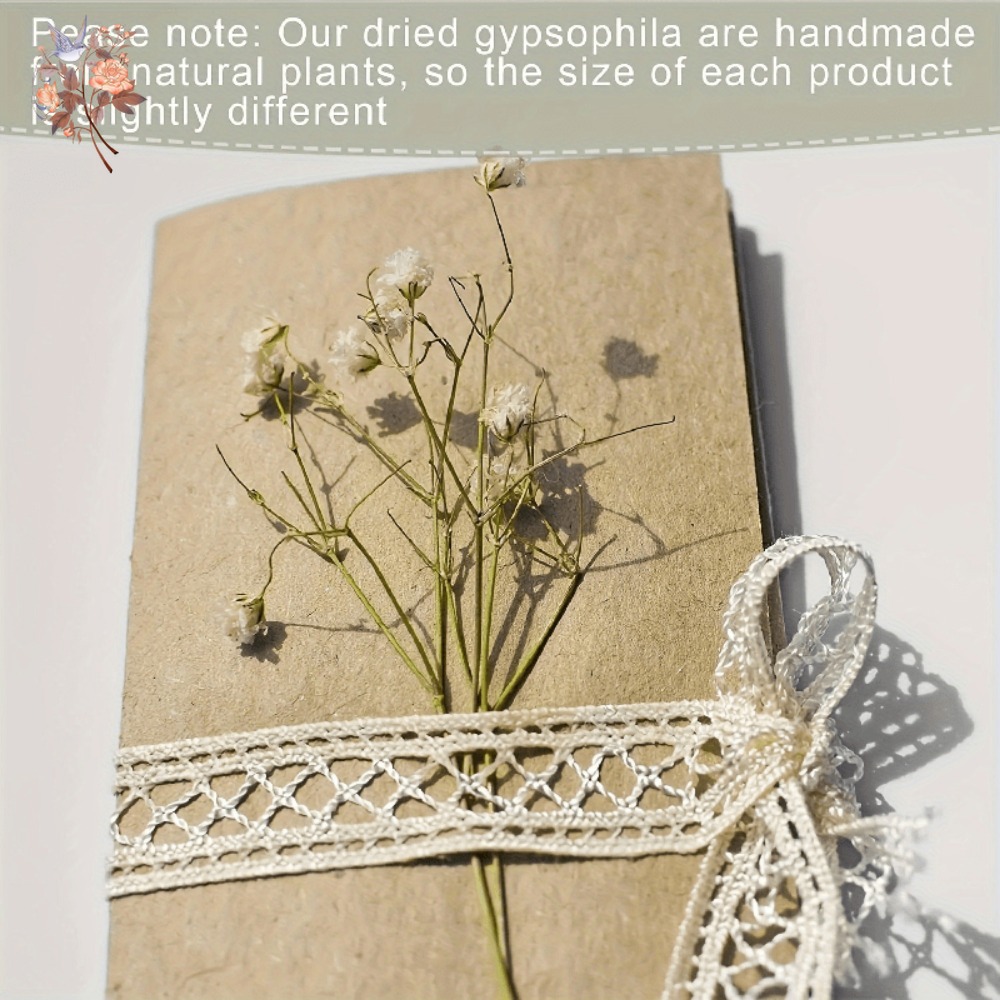 100pcs Mini Dried Baby's Breat - Embellish Craft recensie en prijs